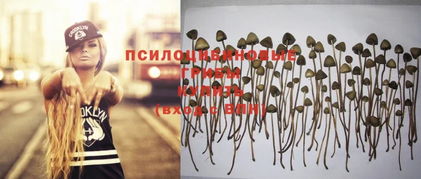 героин Абаза